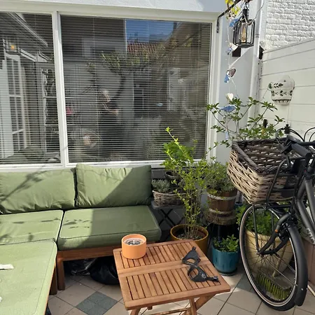 Klein Vissershuisje Vlakbij Het Vakantiehuis Den Haag